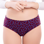 Riya IE Print Panties